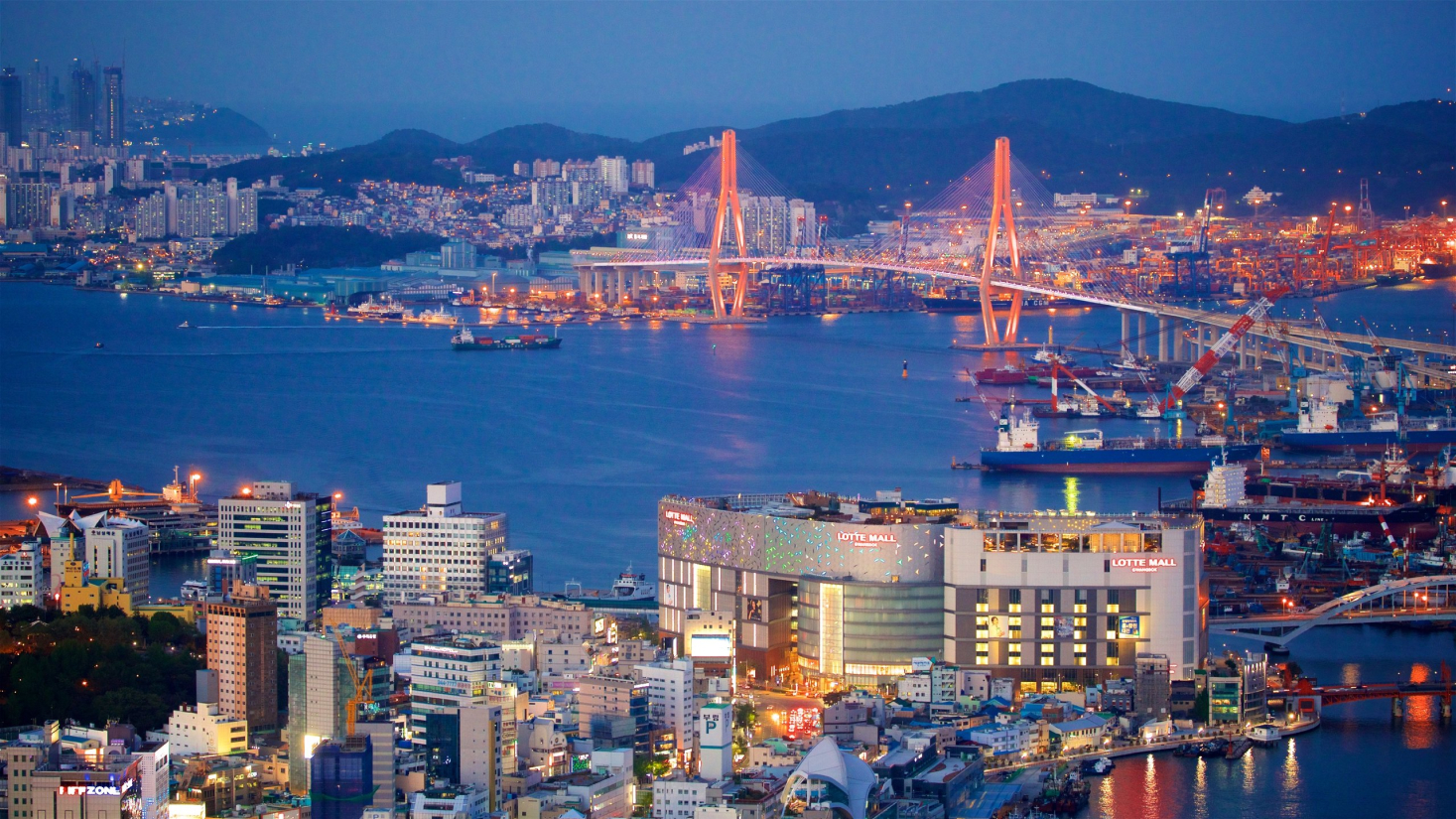 imagen: cidade busan ponte com locais iluminados
